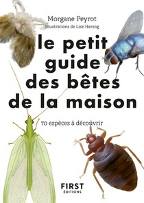 Le Petit Guide ; Petit Guide D'observation Des Petites Betes De La Maison 