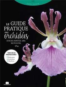 Orchidees : Entretien, Soin, Multiplication... 