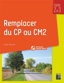 Remplacer Du Cp Au Cm2 ; Cycles 2 Et 3 