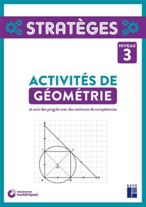 Activites De Geometrie ; Niveau 3 
