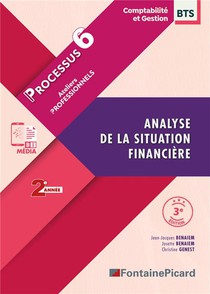 Processus 6 : Analyse De La Situation Financiere ; Bts Comptabilite Et Gestion, 2e Annee 