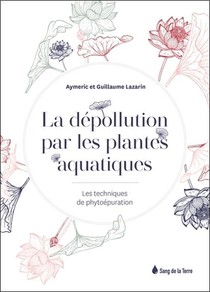 La Depollution Par Les Plantes Aquatiques : Les Techniques De Phytoepuration 