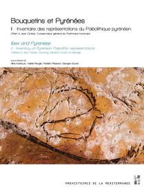 Bouquetins Et Pyrenees T.2 : Inventaire Des Representations Du Paleolithique Pyreneen 