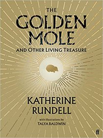 The Golden Mole 