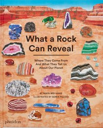What a Rock Can Reveal 