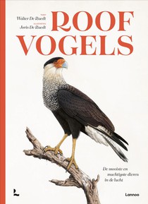 Roofvogels 