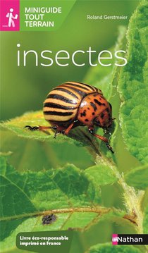 Insectes 