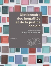 Dictionnaire Des Inegalites Et De La Justice Sociale 