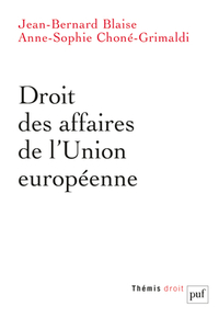 Droit Des Affaires De L'union Europeenne 