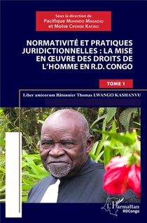 Normativite Et Pratique Juridictionnelles: La Mise En Oeuvre Des Droits De L'homme En R.d Congo - Vo 