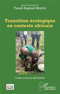 Transition Ecologique En Contexte Africain 