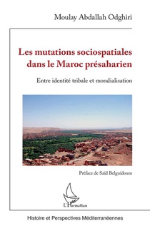 Les Mutations Sociospatiales Dans Le Maroc Presaharien : Entre Identite Tribale Et Mondialisation 
