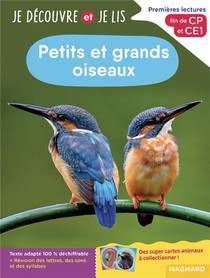 Je Decouvre Et Je Lis : Cp Et Ce1 : Petits Et Grands Oiseaux ; Premieres Lectures, Premieres Decouvertes 
