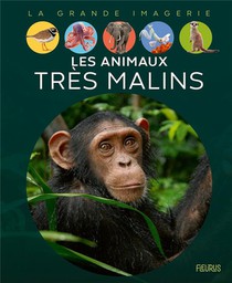 Les Animaux Tres Malins 