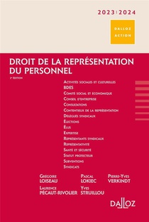 Droit De La Representation Du Personnel (edition 2023/2024) 
