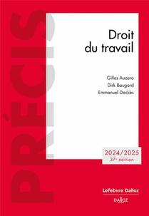 Droit Du Travail (edition 2024) 