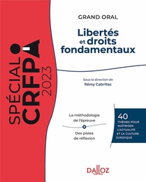 Libertes Et Droits Fondamentaux : Themes Pour Maitriser L'actualite Et La Culture Juridique (29e Edition) 