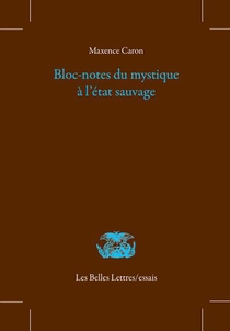 Bloc-notes Du Mystique A L'etat Sauvage 