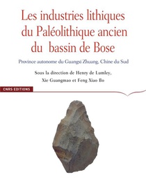 Les Industries Lithiques Du Paleolithique Ancien Du Bassin De Bose 