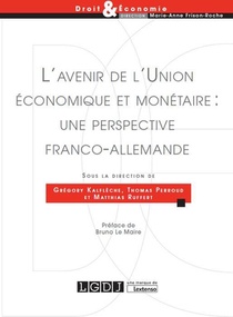 L'avenir De L'union Economique Et Monetaire : Une Perspective Franco-allemande 