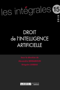 Droit De L'intelligence Artificielle (edition 2019) 
