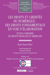 Les Droits Et Libertes Du Numerique : Des Droits Fondamentaux En Voie D'elaboration T.165 : Etude Comparee En Droit Francais Et Americain 