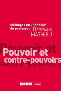 Melanges En L'honneur Du Professeur Bertrand Mathieu : Pouvoir Et Contre-pouvoirs 