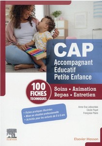 100 Fiches Techniques Cap Accompagnant Educatif Petite Enfance ; Soins, Animation, Repas, Entretien 