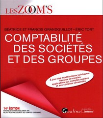 Comptabilite Des Societes Et Des Groupes (edition 2023) 