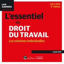 L'essentiel Du Droit Du Travail : Les Relations Individuelles (edition 2023/2024) 