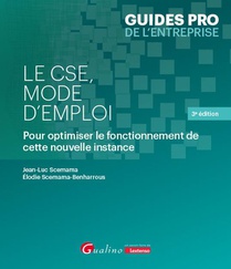 Le Cse, Mode D'emploi : Pour Optimiser Le Fonctionnement De Cette Nouvelle Instance (3e Edition) 