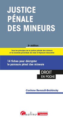 Justice Penale Des Mineurs : 14 Fiches Pour Decrypter Le Parcours Penal Des Mineurs (3e Edition) 