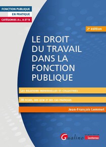 Le Droit Du Travail Dans La Fonction Publique : Les Relations Individuelles Et Collectives (2e Edition) 