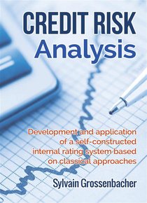 Credit Risk Analysis : Development And Application Of A Self-constructed Internal Rating System Based On Classical Approaches 