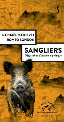 Sangliers, Geographies D'un Animal Politique 
