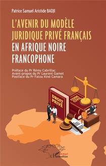 L'avenir Du Modele Juridique Prive Francais En Afrique Noire Francophone 