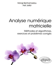 Analyse Numerique Matricielle - Methodes Et Algorithmes, Exercices Et Problemes Corriges 
