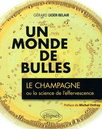 Un Monde De Bulles ; Le Champagne Ou La Science De L'effervescence 