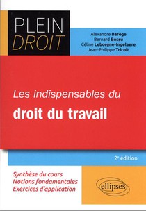 Les Indispensables Du Droit Du Travail (2e Edition) 