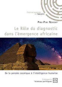 Le Role Du Diagnostic Dans L'emergence Africaine : De La Pensee Cosmique A L'intelligence Humaine 