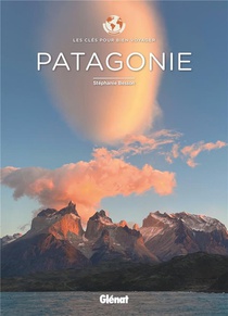 Les Cles Pour Bien Voyager : Patagonie : Les Cles Pour Bien Voyager 