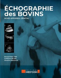 Echographie Des Bovins Hors Appareil Genital 