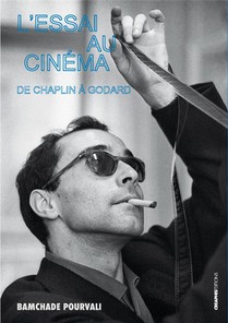 L'essai Au Cinema : De Chaplin A Godard 