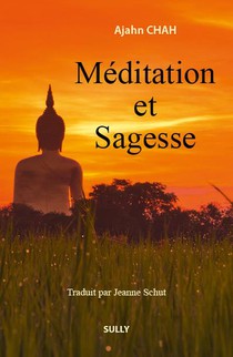 Meditation Et Sagesse (3e Edition) 
