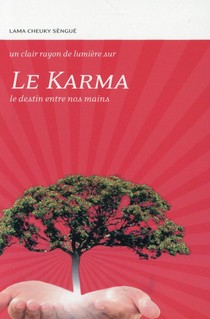 Le Karma ; Le Destin Entre Nos Mains 