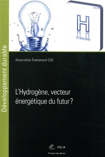 L'hydrogene ; Vecteur Energetique Du Futur 