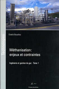 Methanisation Enjeux Et Contraintes Tome 1 : Ingenierie Et Gestion Du Gaz 