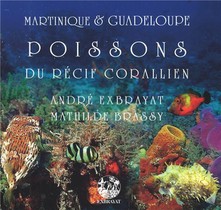 Martinique Et Guadeloupe ; Poissons Du Recif Corallien 