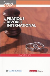Pratique Du Divorce International 
