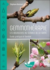 Gemmotherapie ; Les Bourgeons Au Service De La Sante ; Guide Pratique Et Familial 